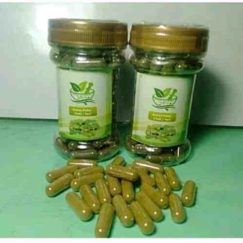 

Kapsul daun sirsak obat asam urat alami herbal isi 100 butir