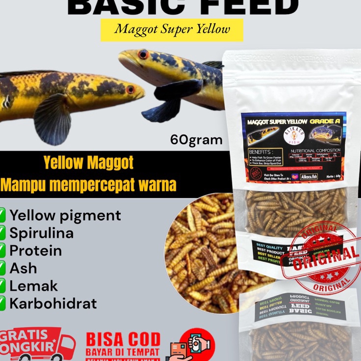 Paket Surprise  maggot bsf red blue yellow ALIKACU FISH  makanan ikan predator arwana louhan channa 