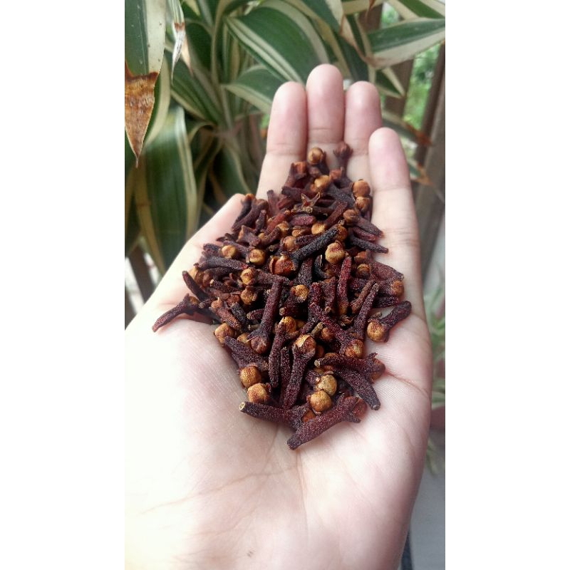 

CENGKEH KERING 500g-1kg