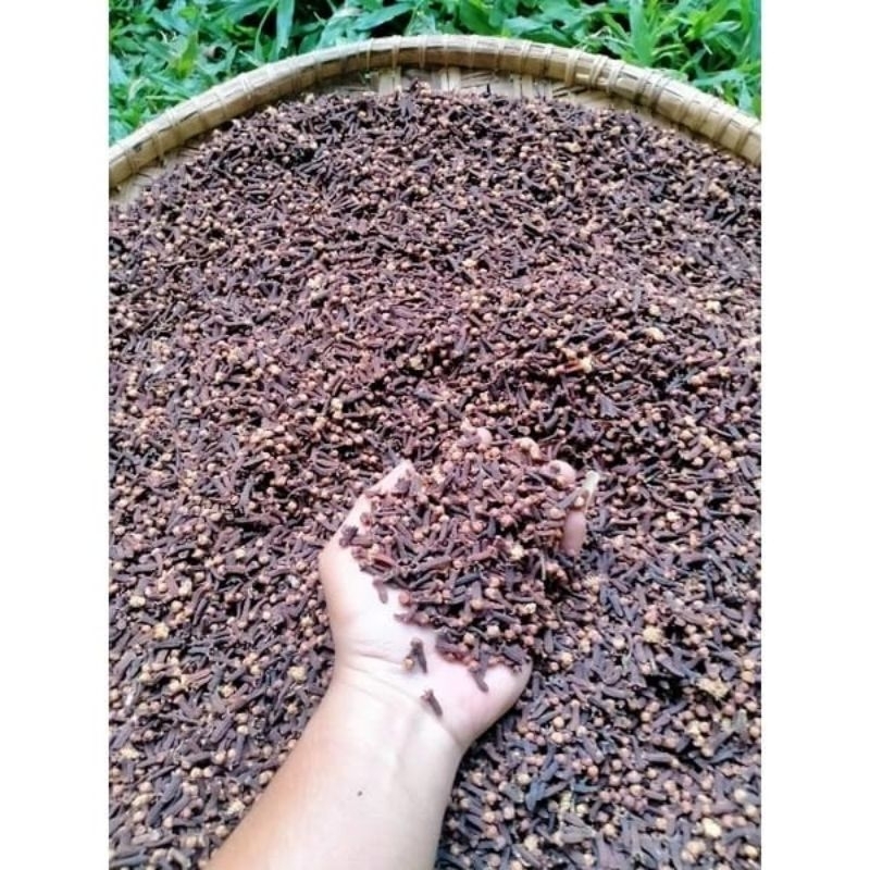 

Cengkeh Kering isi 1kg Cengkeh bumbu rempah