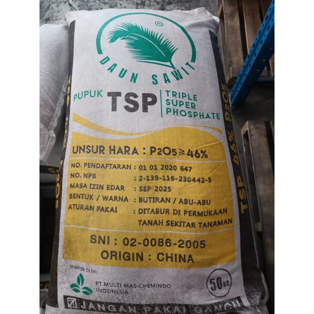 PUPUK TSP 50KG