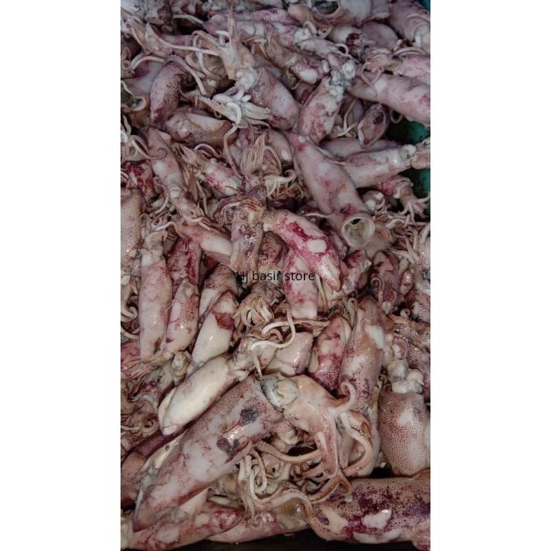 

cumi asin basah ikan asin 250 gr