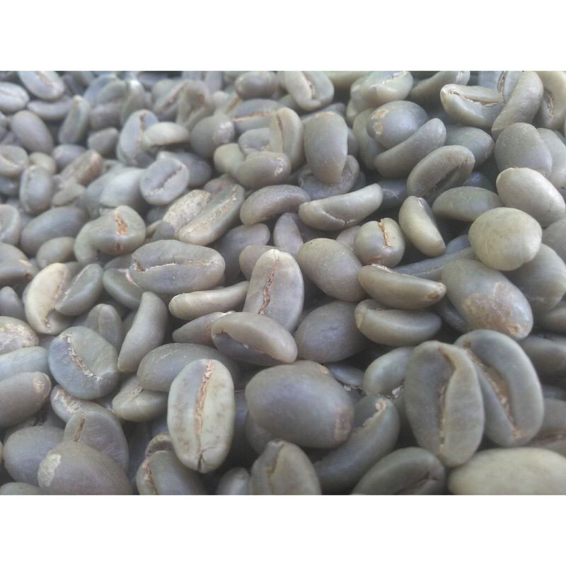 

biji kopi arabika semeru greanbean