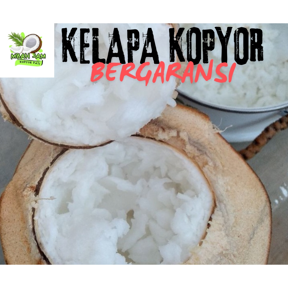 

kelapa kopyor size 45-46 CM