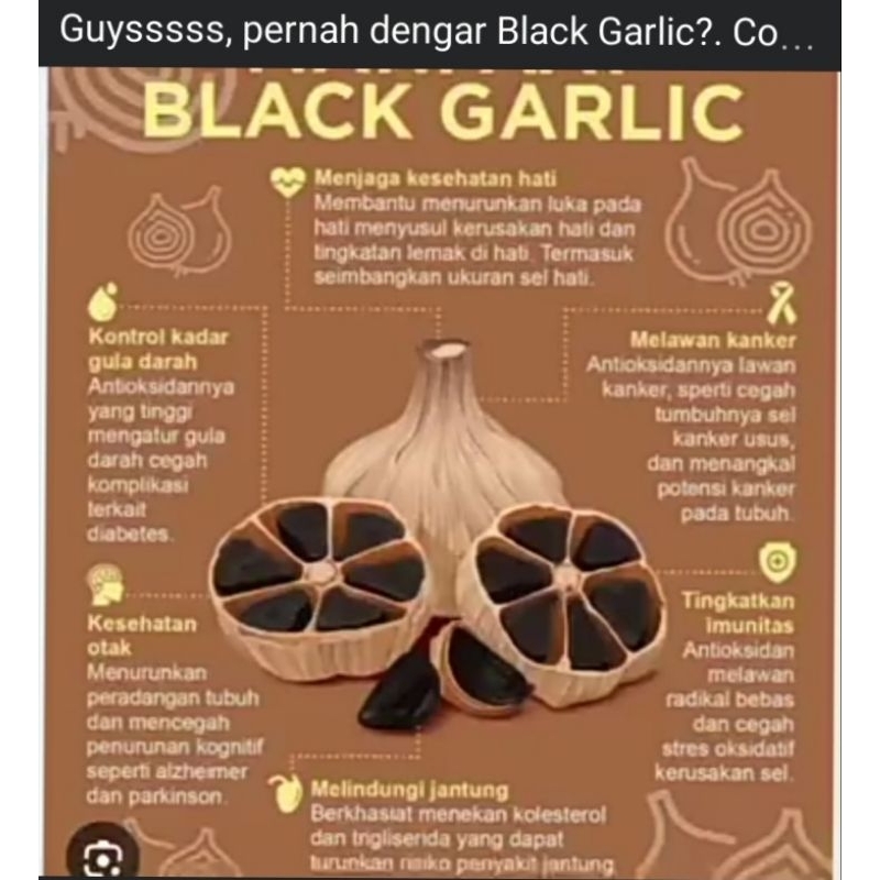 

Rumah Madu Psp - Black Garlic Per Bonggol