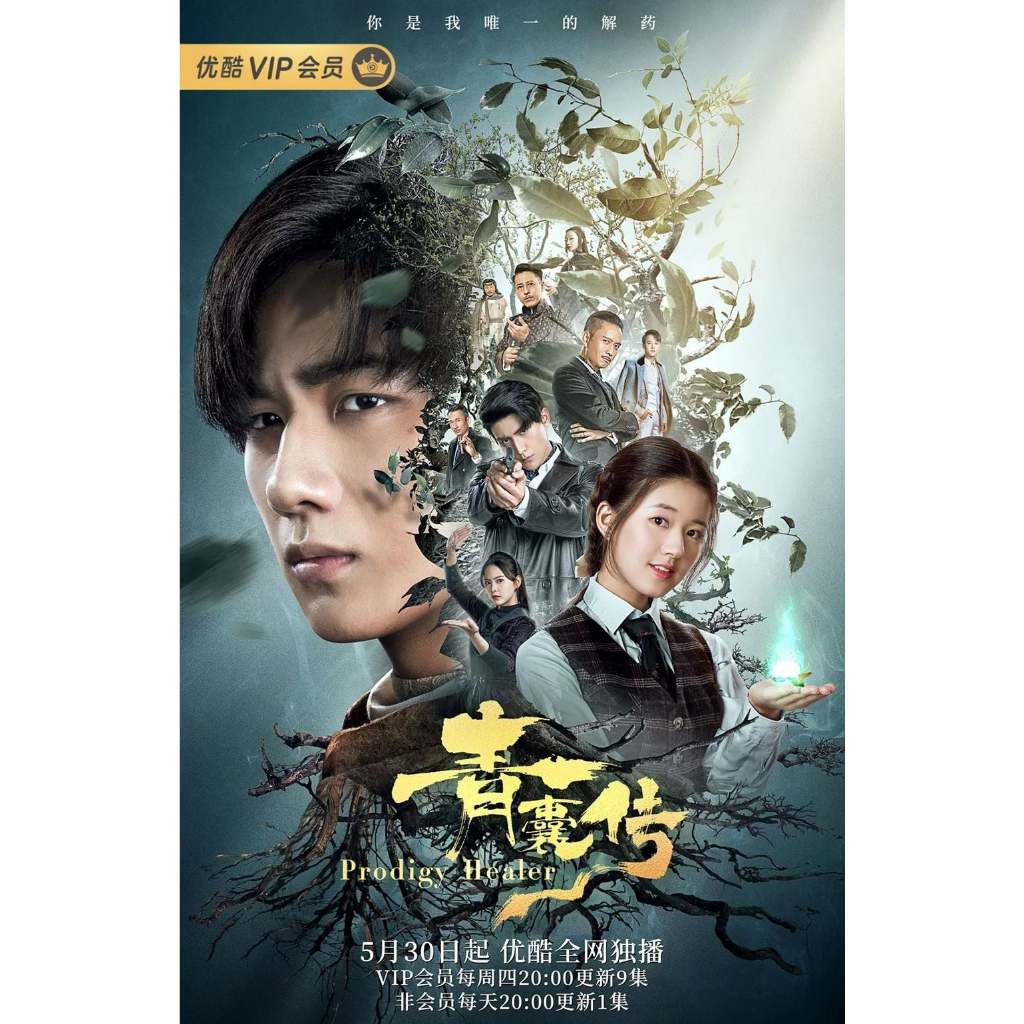 dvd kaset Prodigy Healer (2019)