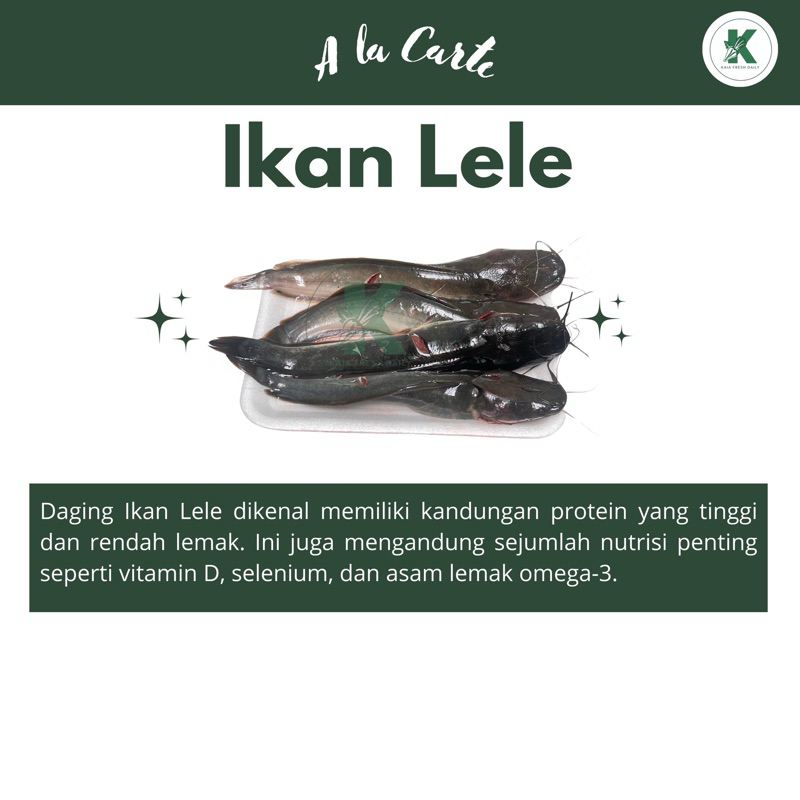 

IKAN LELE 500gr