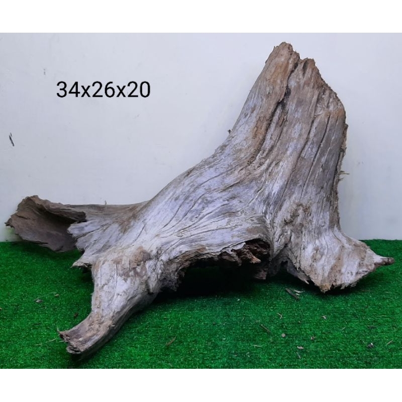 Bonggol Kayu Santigi Laut - Kayu Tenggelam - Aquascape - Taman - 34x26x20 T