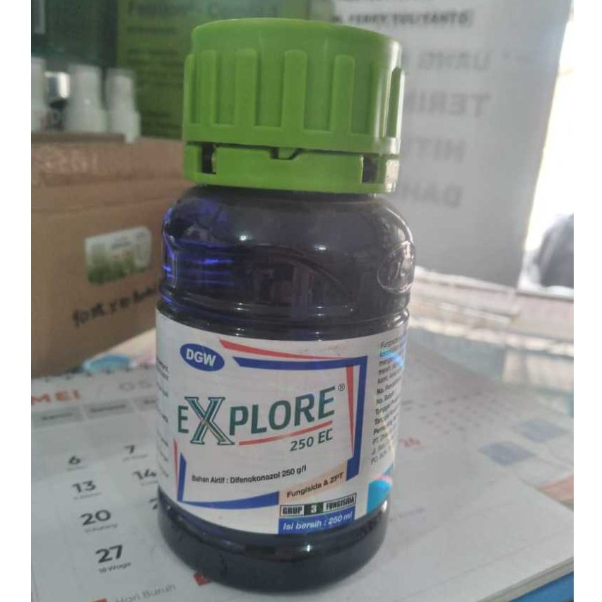 Fungisida Explore 250EC 250ML DIfekonazol DGW