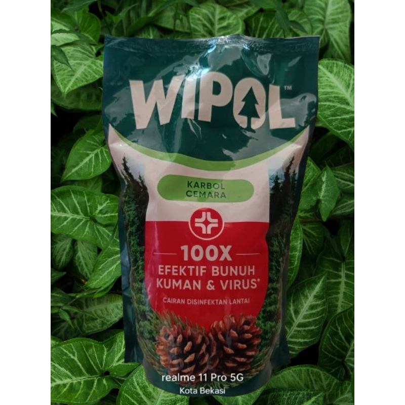 Wipol 750ml