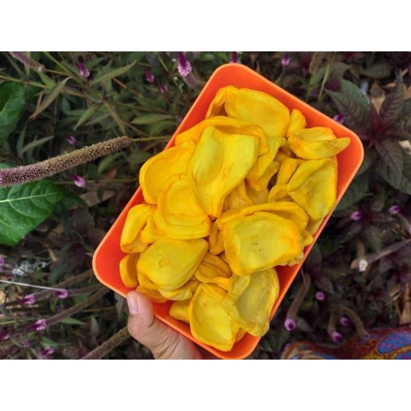 

KERIPIK NANGKA PREMIUM
