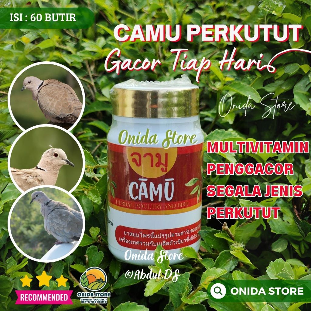 CAMU PIL PERKUTUT GACOR MANGGUNG / Jamu perkutut / Pil Manjur / Pil Ajaib / Bangkok / Katurangan / L