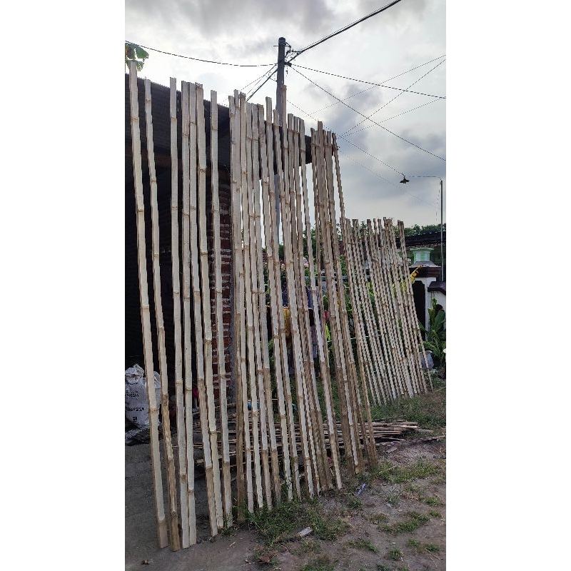 Bambu petung bahan sendaren layangan gapangan