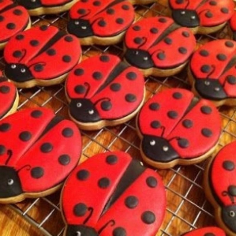 

IHANALICIOUS Butter cookies tema Ladybug kepik bugs bunga (kukis hias)