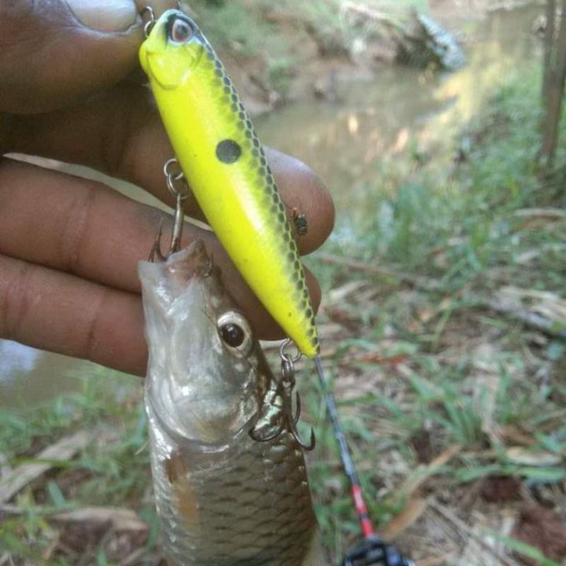 wtd duo relix nusantara 6.5 c m/6g umpan pancing casting hampala