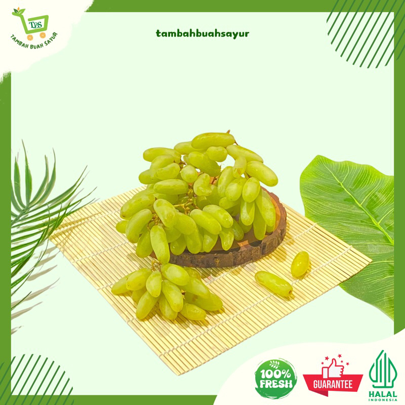 

ANGGUR HIJAU TANPA BIJI | ANGGUR SHINE MUSCAT (KHUSUS SAMEDAY DAN INSTAN)
