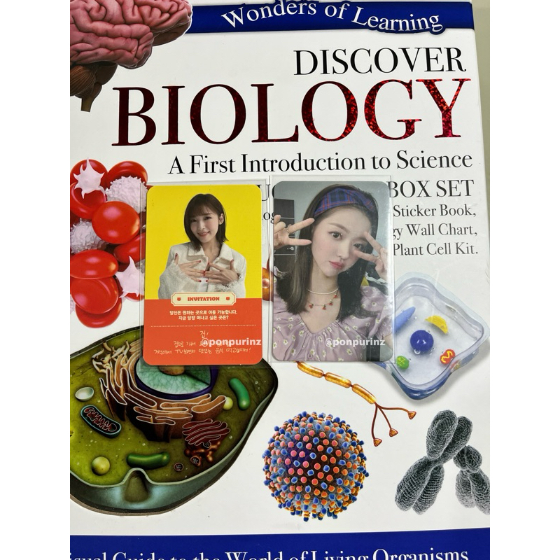 Photocard pc oh my girl yooa arin omg nonstop