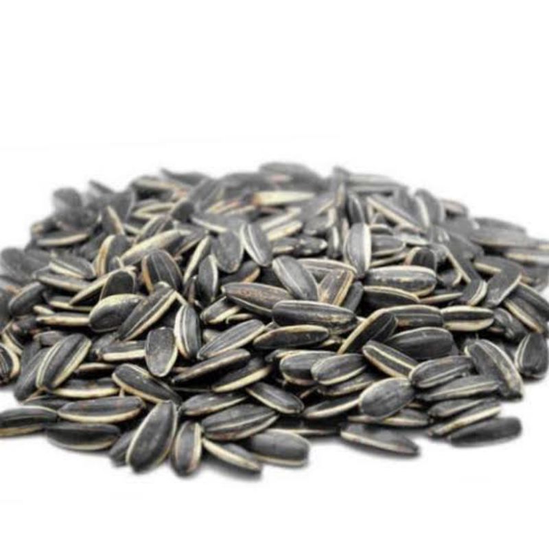 

Kuaci Kwaci Biji Bunga Matahari Sunflower Seed Kiloan Murah Terlaris