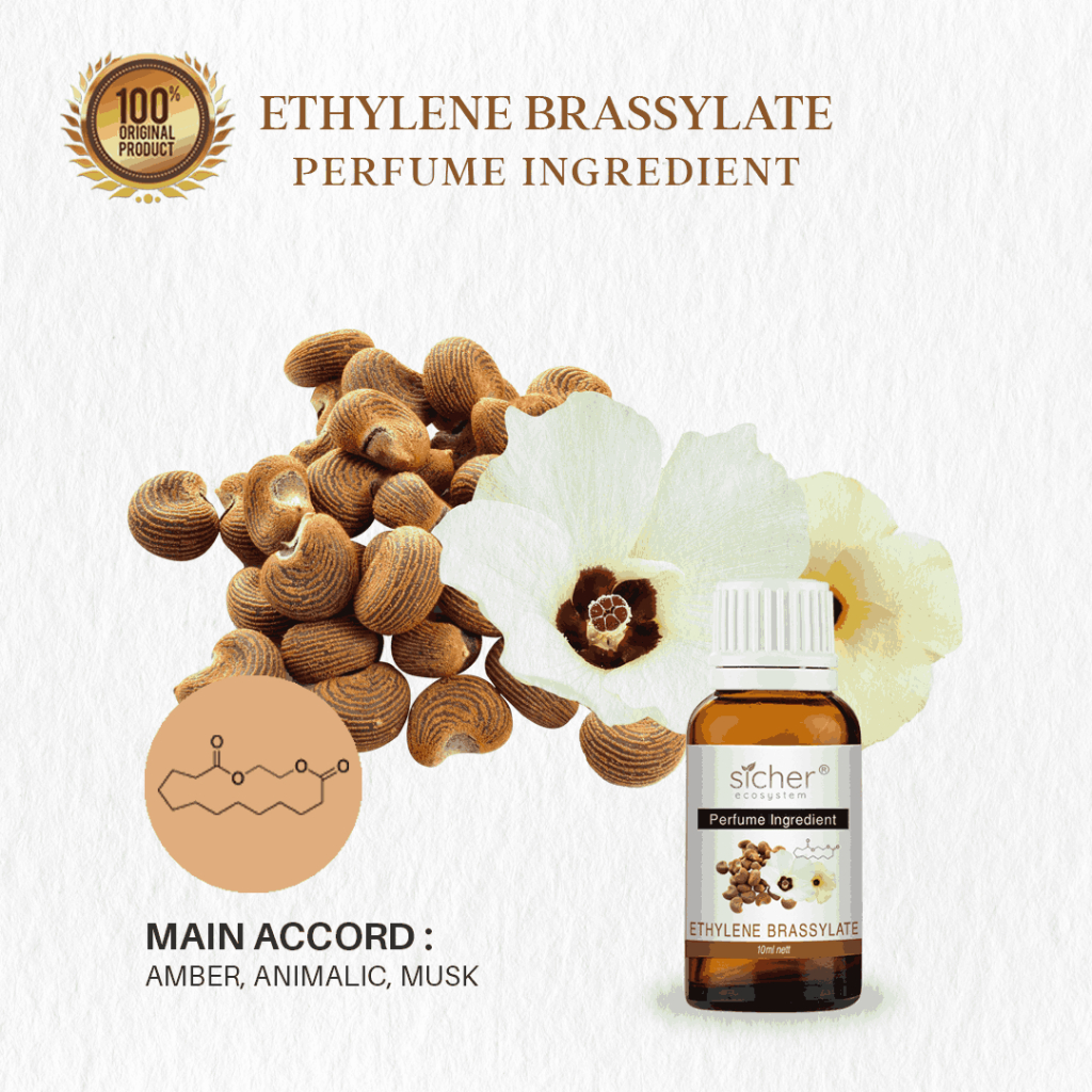 Sicher Natural Isolate Oil (Perfume Ingredient / RAW Material) Ethylene Brassylate 10ml