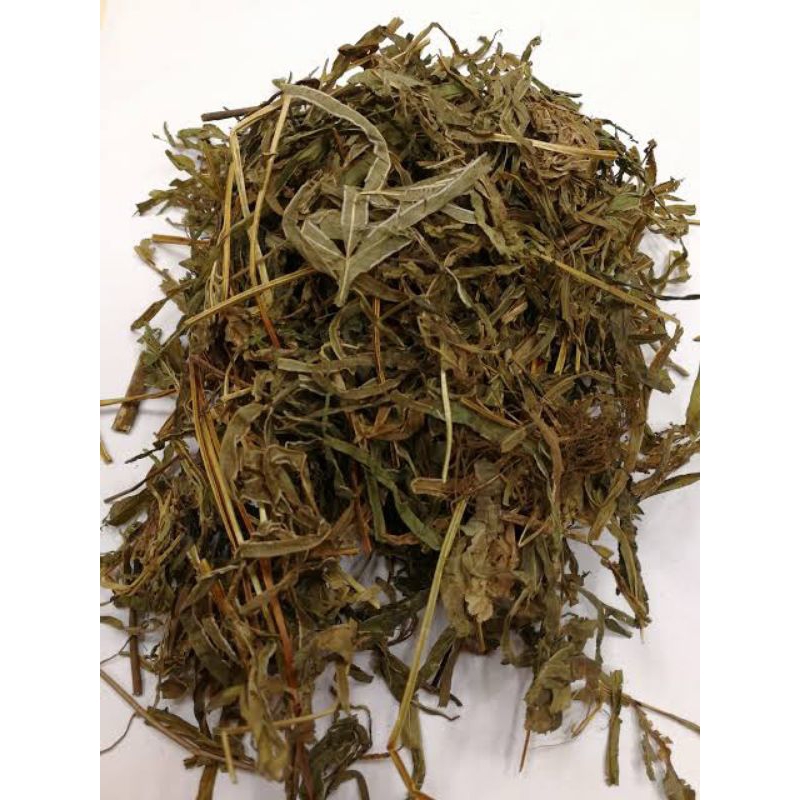 

300 G GR GRAM HERBAL 凤尾草 FENG WEI CAO HERBA PTERIDIS MULTIFIDAE