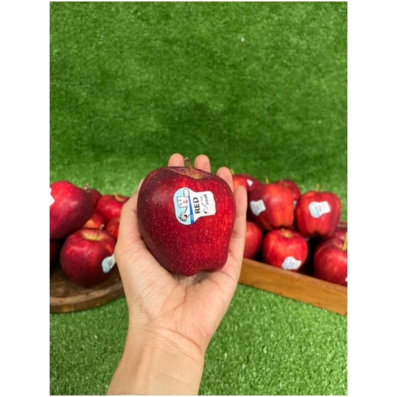 buah apel merah Washington fresh 1 kg / buah Apple red fresh 1 kg