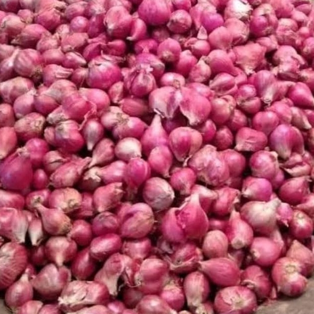 

Bawang Merah Lokal Kualitas Super 1kg