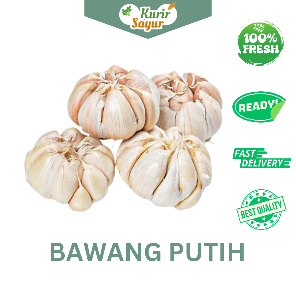 

KURIR SAYUR - BAWANG PUTIH KATING SEGAR 100 GR