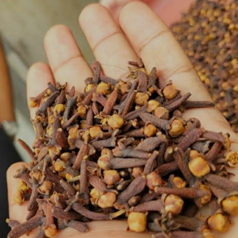 

CENGKEH KERING,CENGKIH HEEBAL REMPAH ALAMI