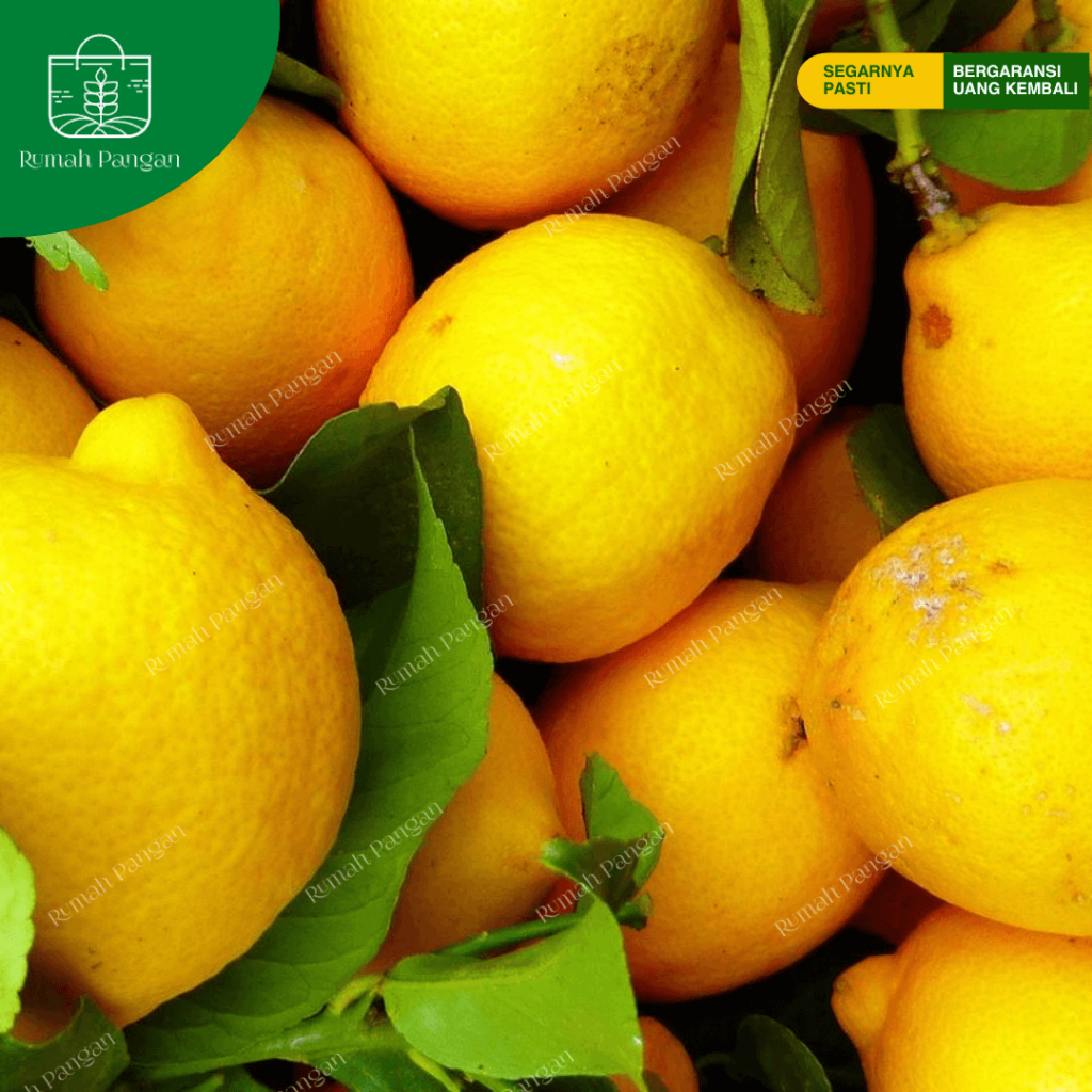 

Jeruk Lemon