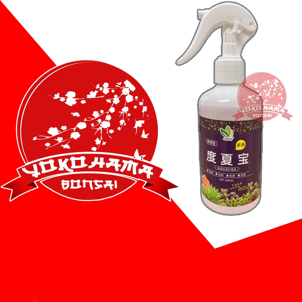 SPRAY NUTRISI sukulen IMPORT