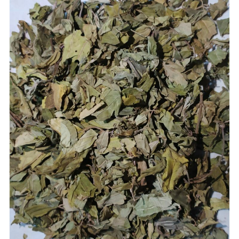 

Daun kemanden kering 500gram / daun senggani kering