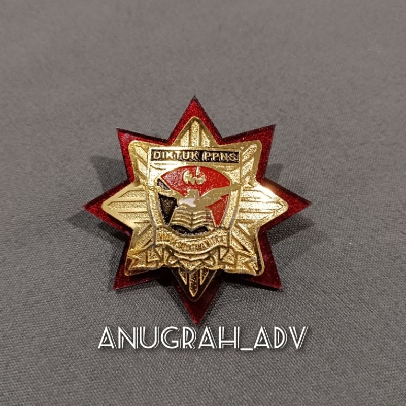 

pin DIKTUK PPNS kuningan sepuh emas lapis acrylic merah - MAGNET