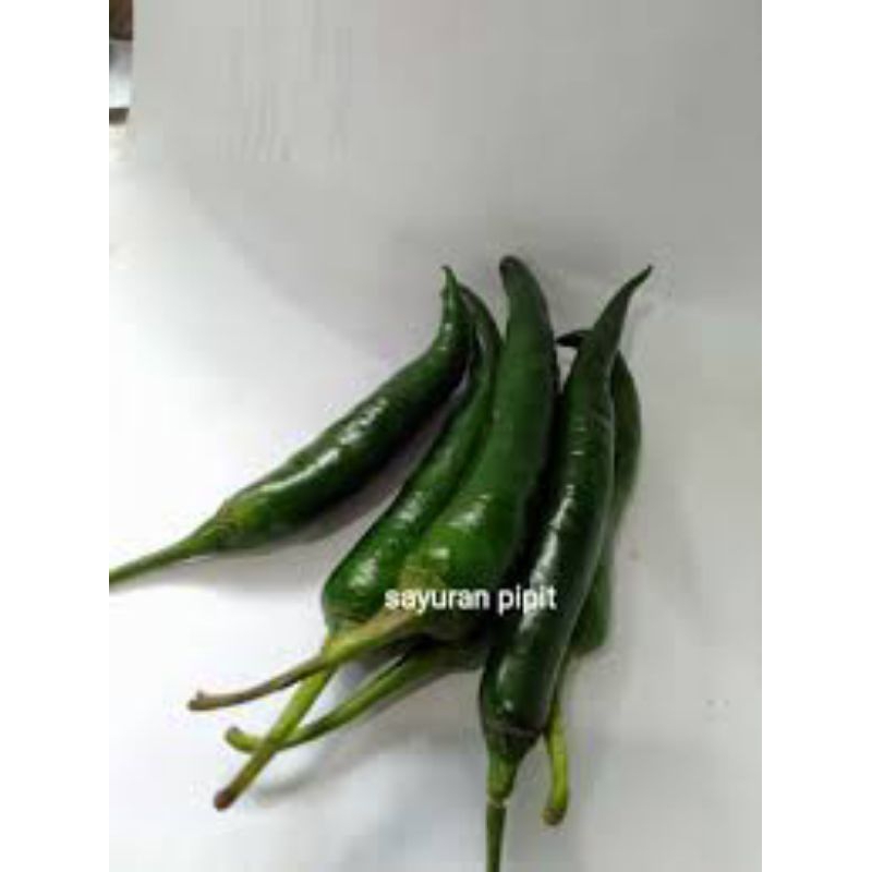 

cabe hijau besar/250gram