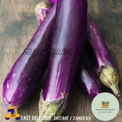 

INSTANT TERONG / TERONG UNGU SEGAR / TERONG UNGU