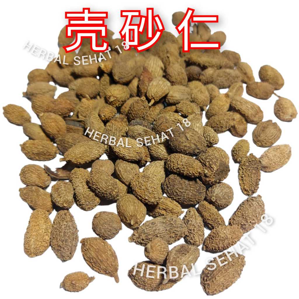 

600 gram - Grade A - Zheng Chun Sha Ren - 正春砂仁 Fructus Amomi - Sharen - Chun Sha Jin