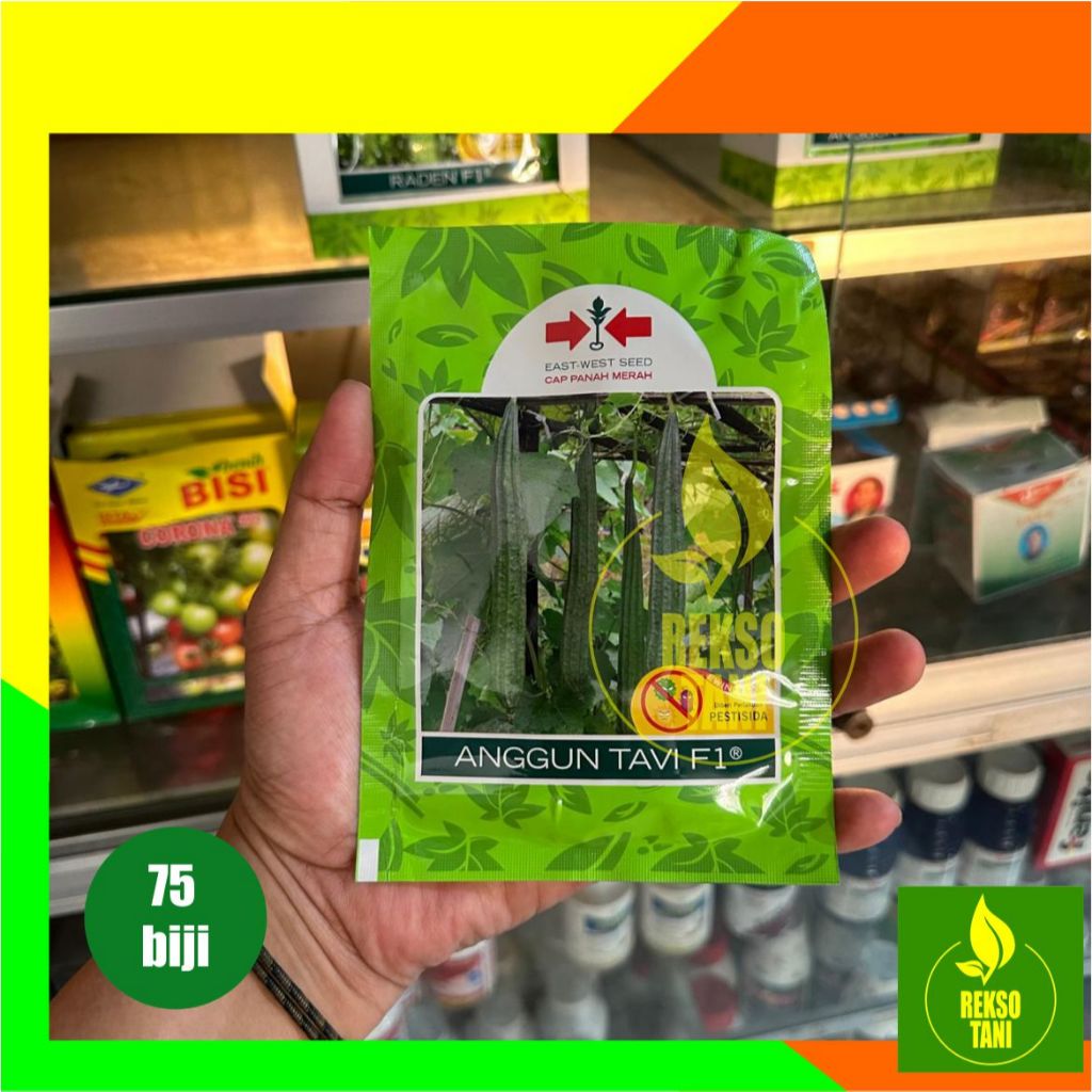 Benih Gambas/Oyong Anggun Tavi -75 butir