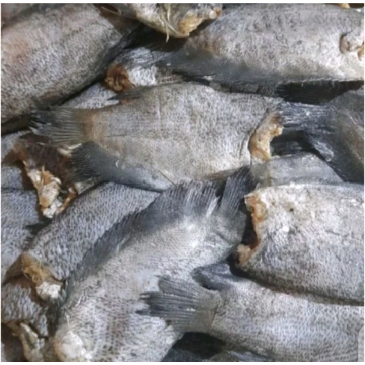 

IKAN ASIN SEPAT SIAM/ IKAN ASIN PALEMBANG/ IKAN ASIN AIR TAWAR MURAH 250 GR