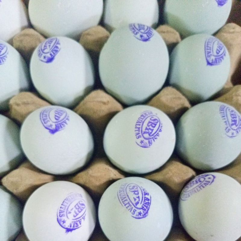 

Telur Asin per Butir