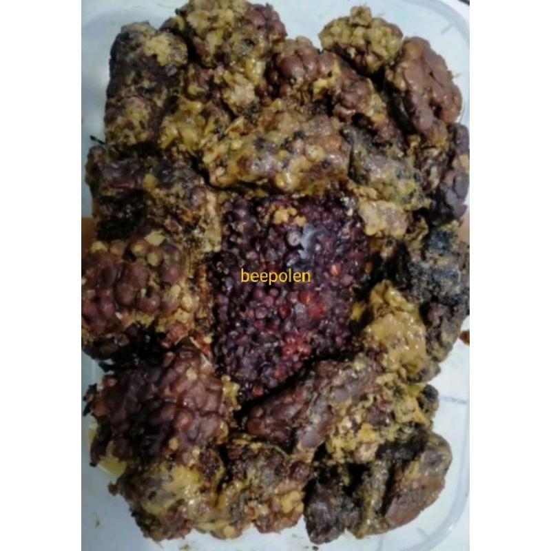 

beepolen basah 250gr