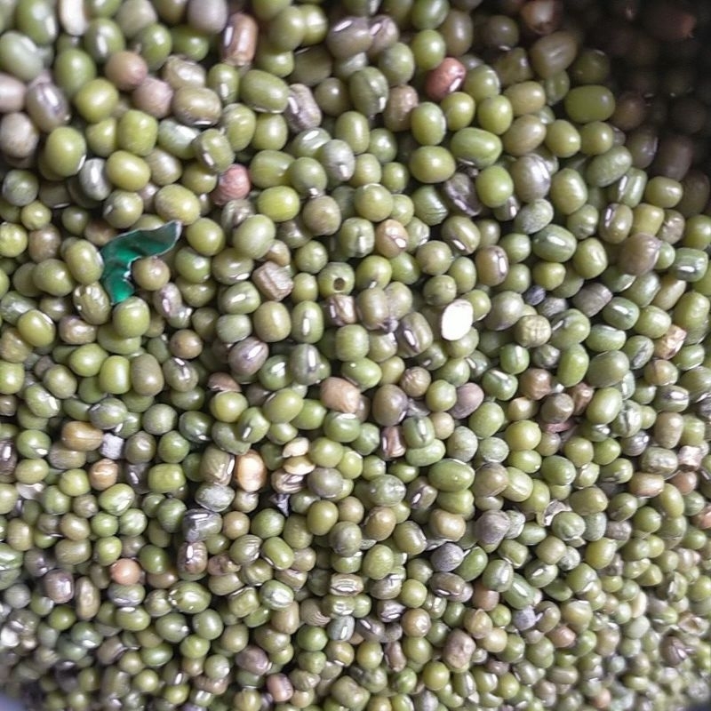 

kacang hijau untuk bubur