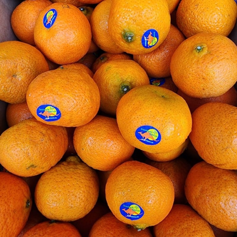

Jeruk mandarin madu Australia