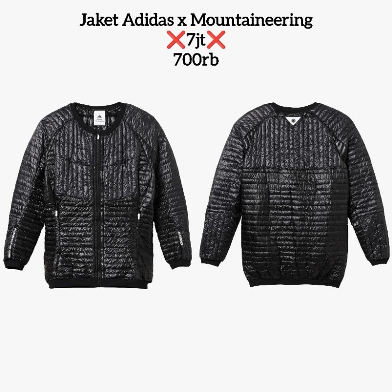 Jaket Adidas Terrex x Mountaineering