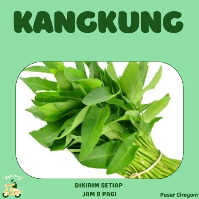 

KANGKUNG SEGAR 1 IKAT BESAR MURAH BANDUNG