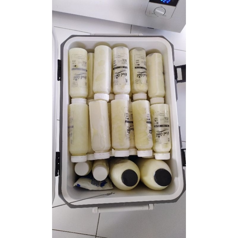 

Susu Kambing Murni (Real Goat)