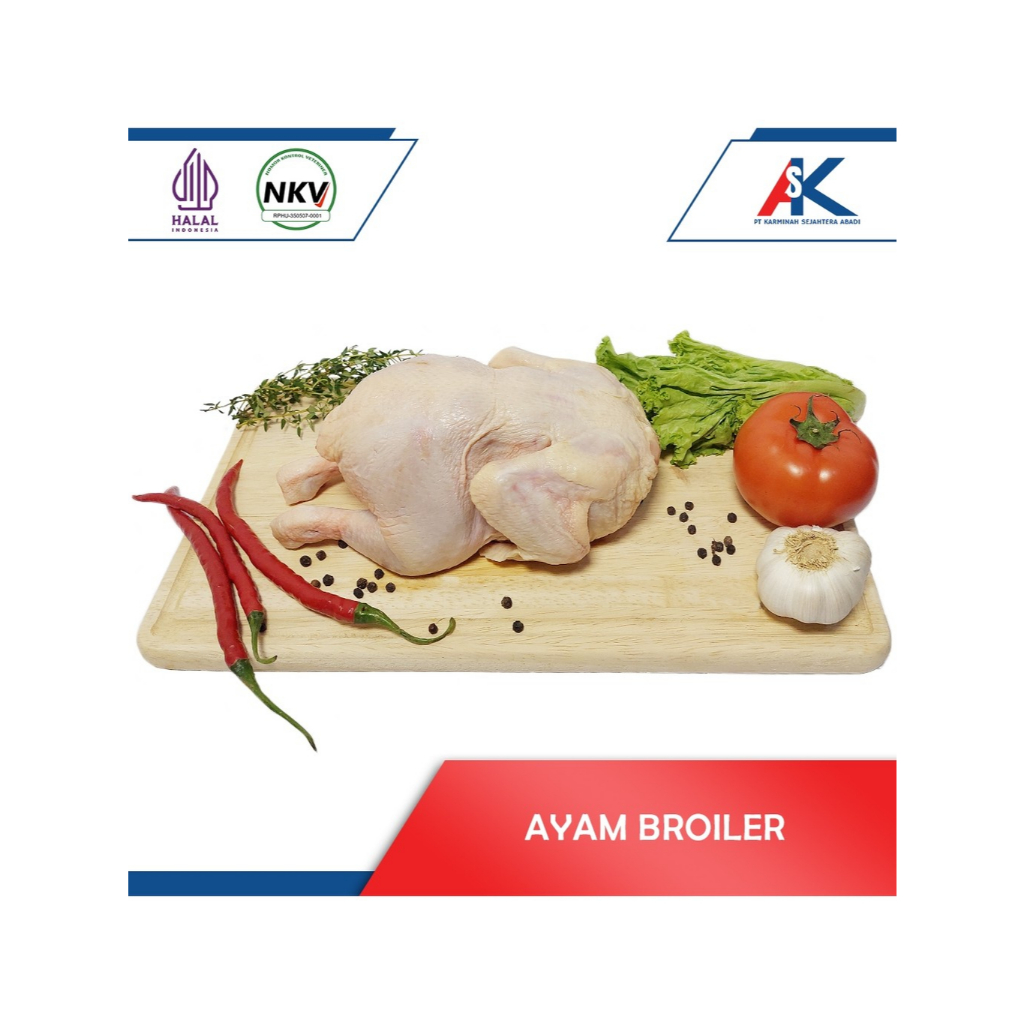 

AYAM BROILER FRESH / AYAM NEGRI / AYAM KARKAS SEGAR / DAGING AYAM / AYAM BROILER UTUH UKURAN 0,1 – 1,3KG