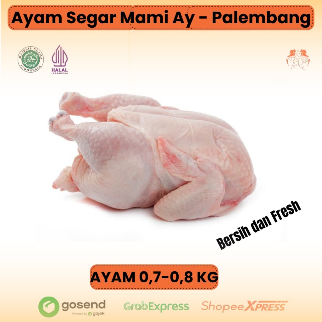 

Daging Ayam segar 0,7 -0,8 kg