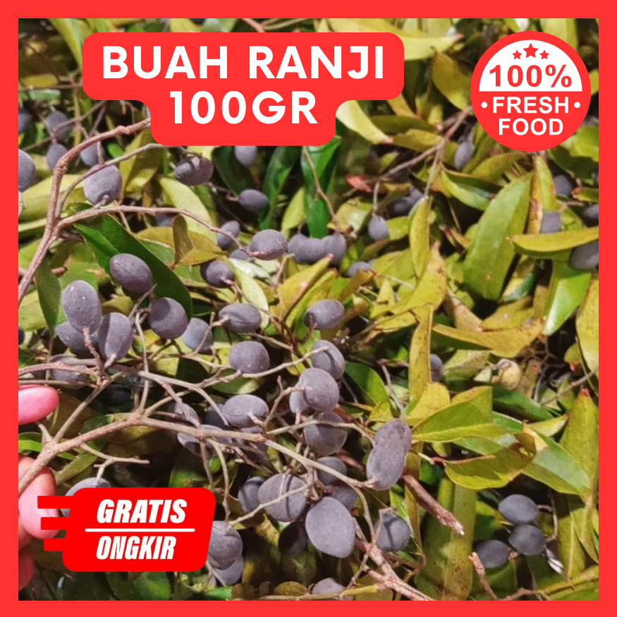 

Buah Keranji Ranji Asam Kranji untuk Obat 100 Gram