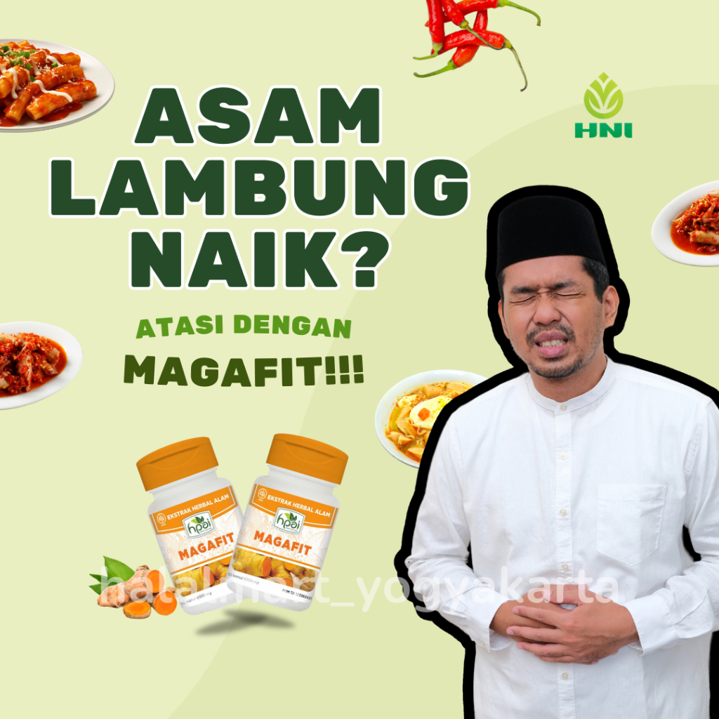 OBAT HERBAL SOLUSI ASAM LAMBUNG - MAGAFIT HNI