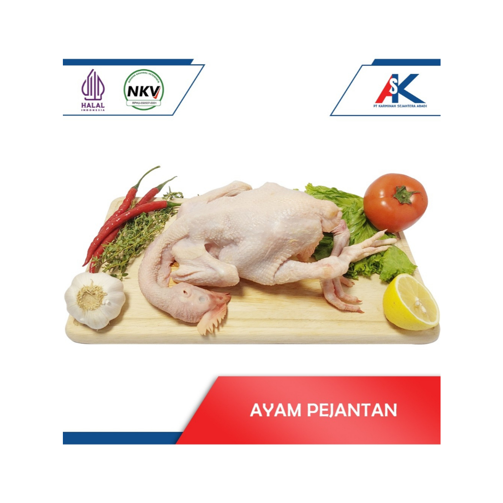 

AYAM PEJANTAN FRESH / DAGING AYAM FROZEN / AYAM PEJANTAN UTUH UKURAN 0,4 – 1,6KG