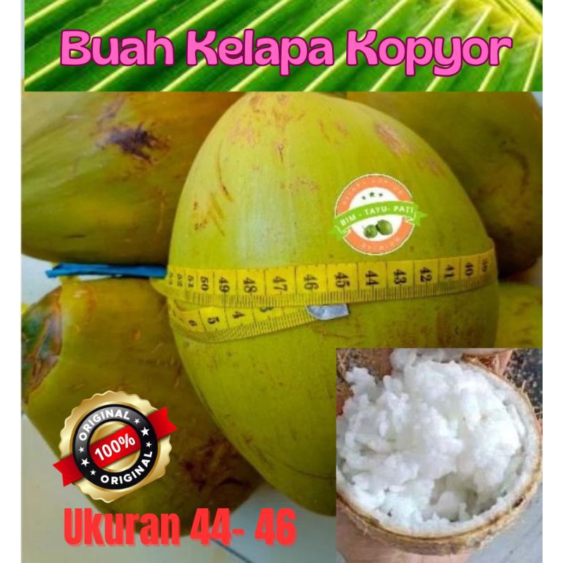 

[BIM] Kelapa Kopyor uk. 44-46